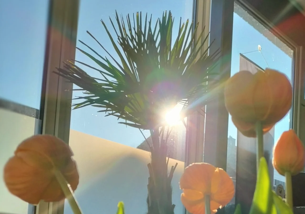 Friseurstudio Lüttel by Katrin Schröder